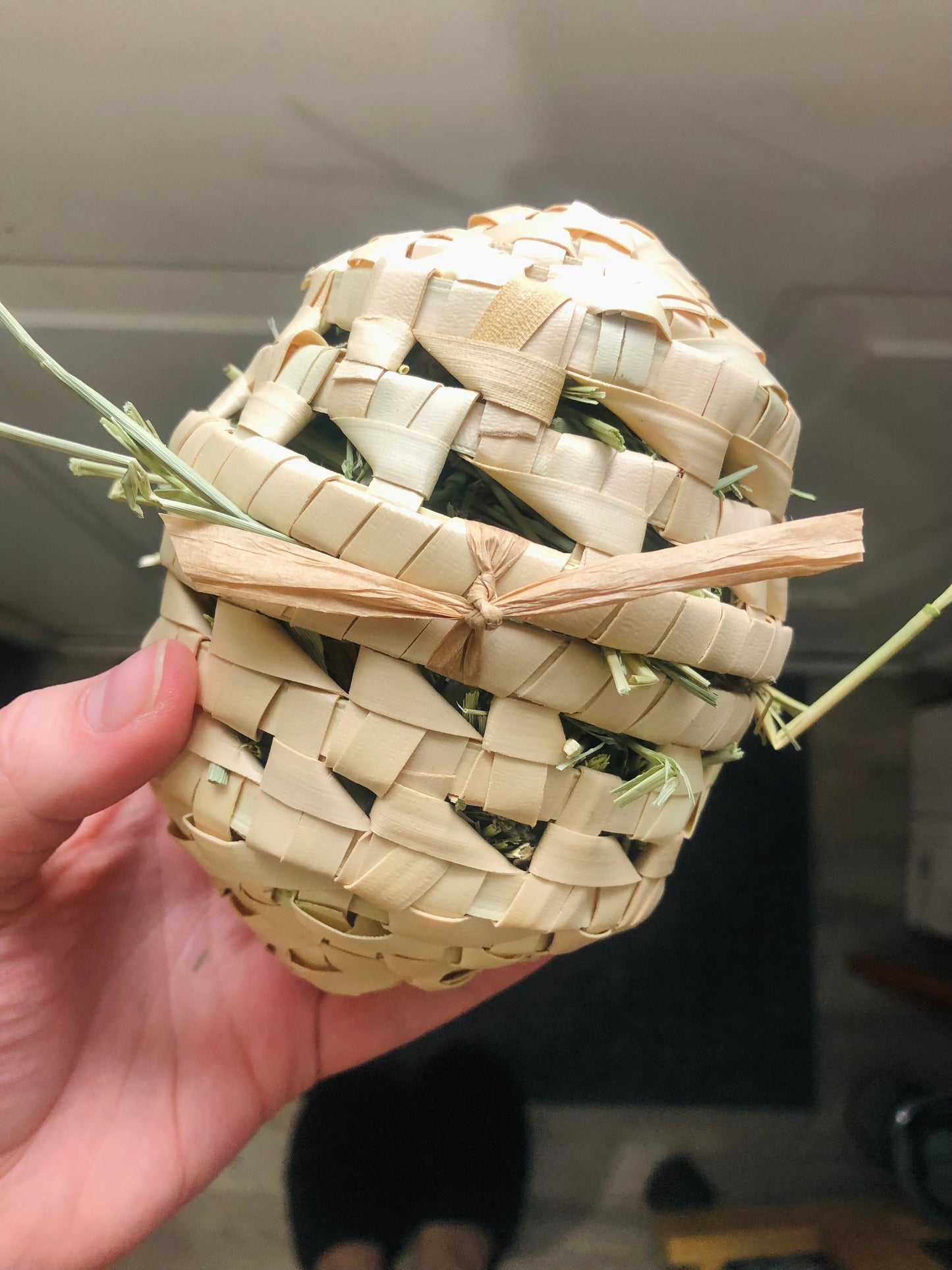 FORAGE EGG TOY