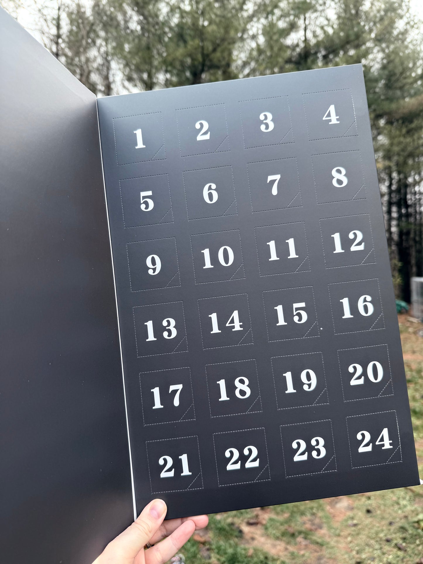 Bunny Advent Calendar