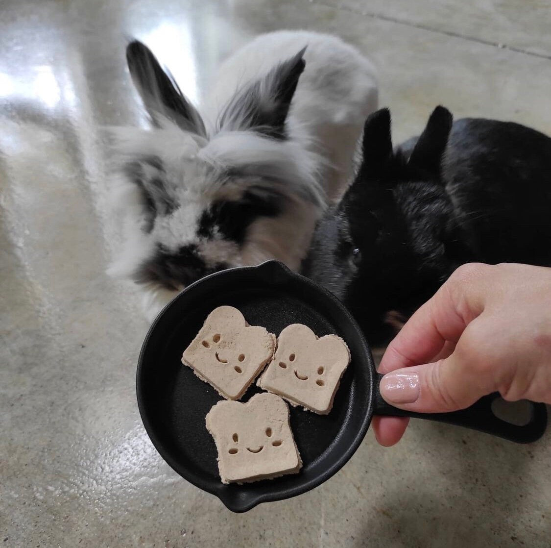 Organic Treat Toasts