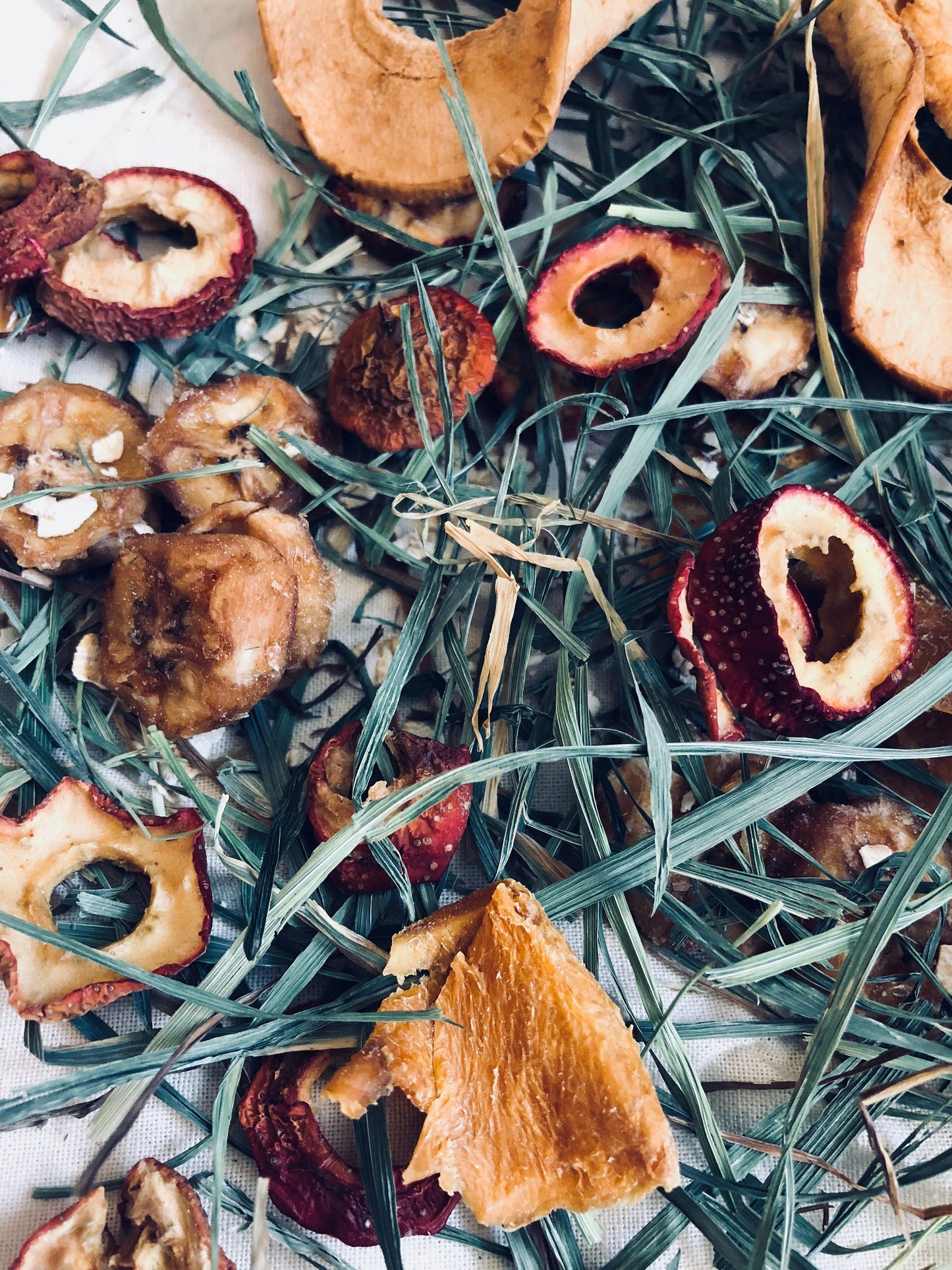 Fruity Bonanza Forage Mix