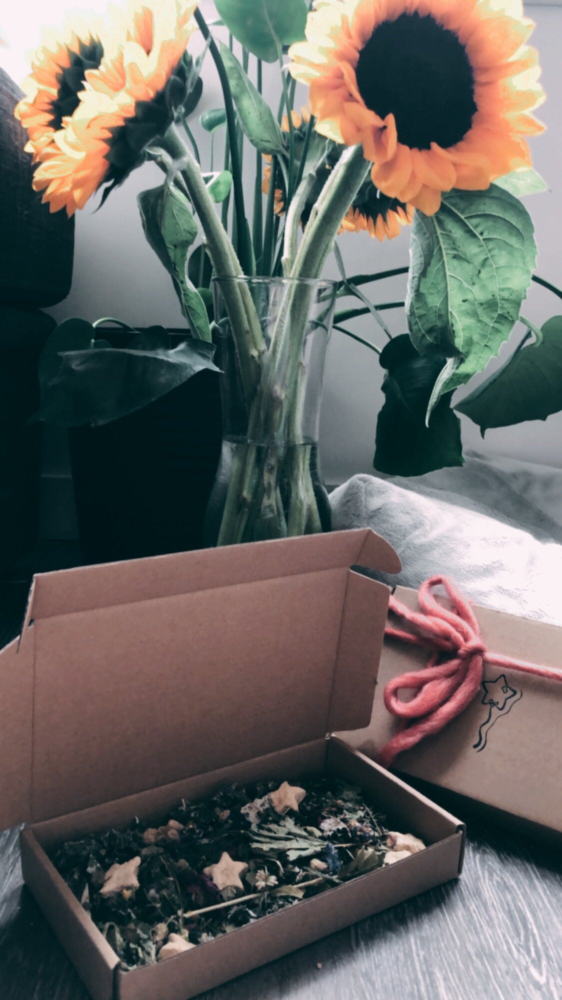 Bear-y Fun Forage Box