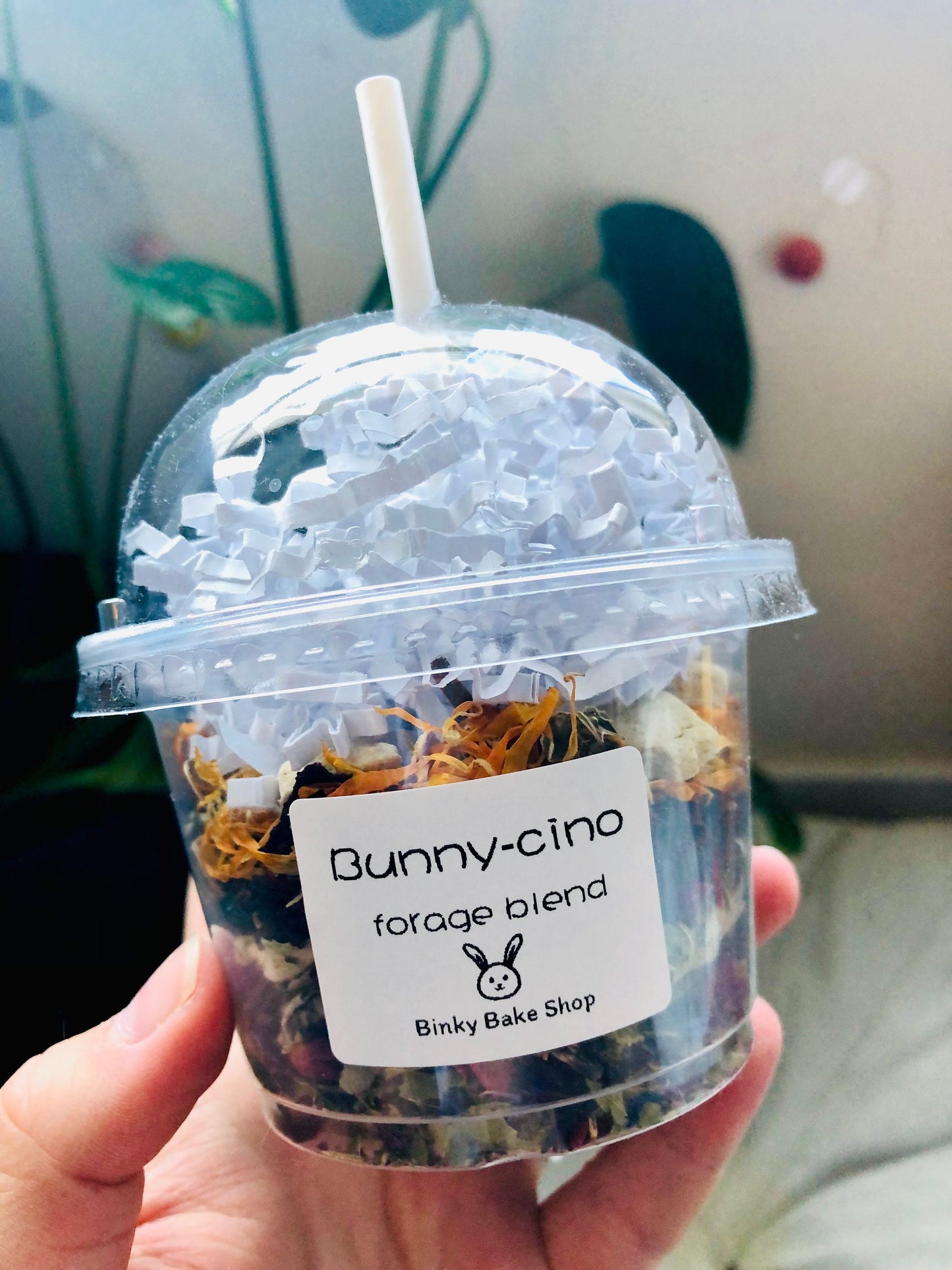 BUNNY-CINOS Forage Blend