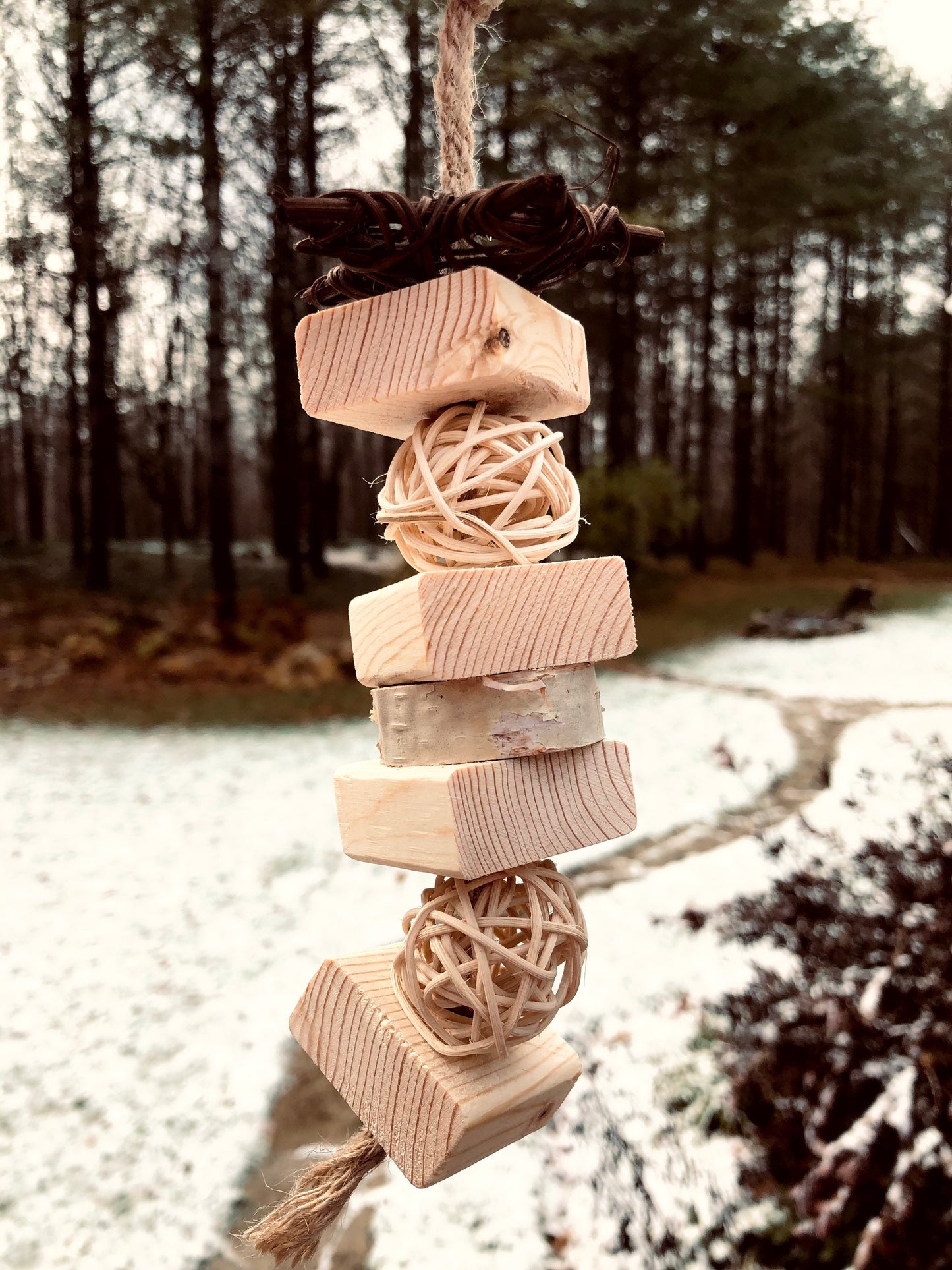 Fruit Flavoured Wood Chews