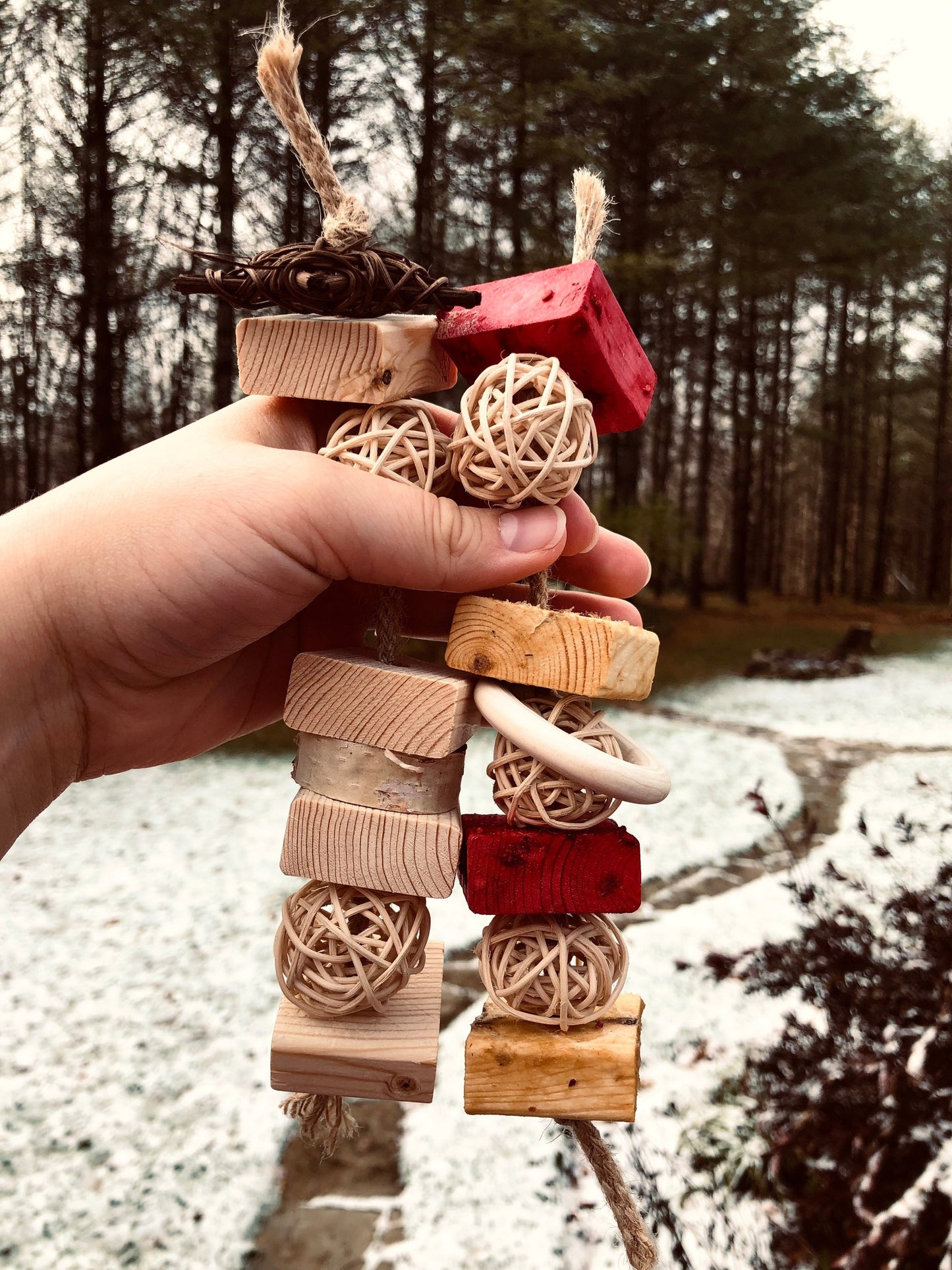 Fruit Flavoured Wood Chews
