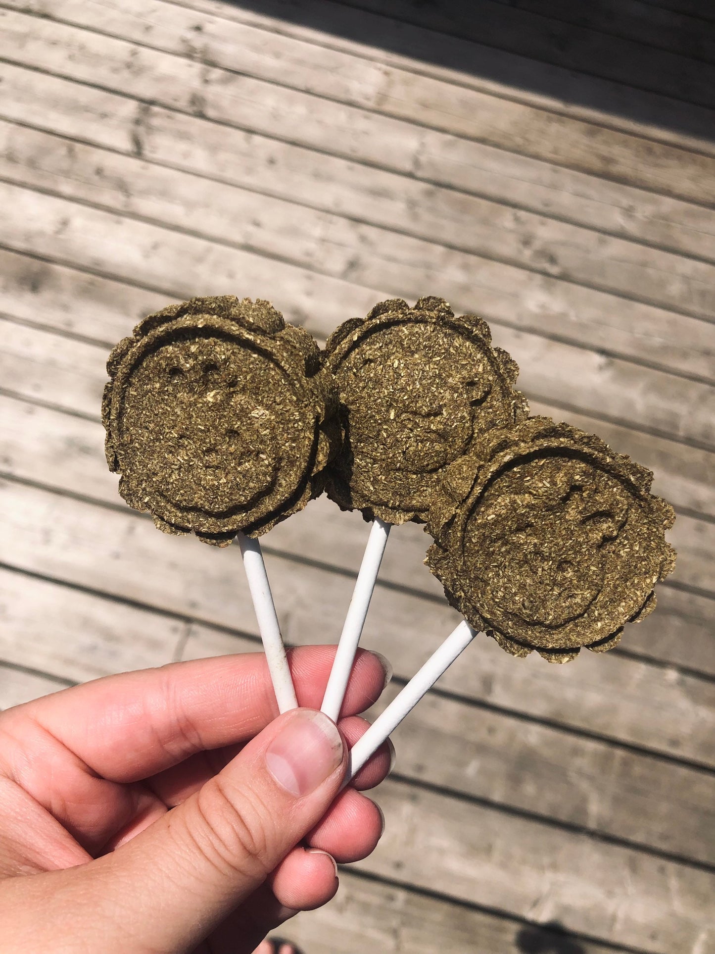 Oat Free Treat Pops