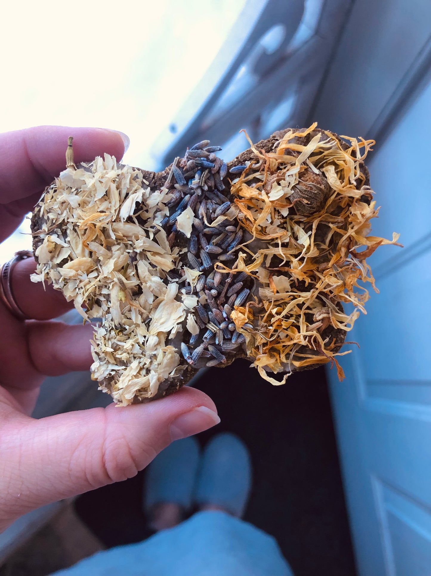 Oat Free Giant Butterflies