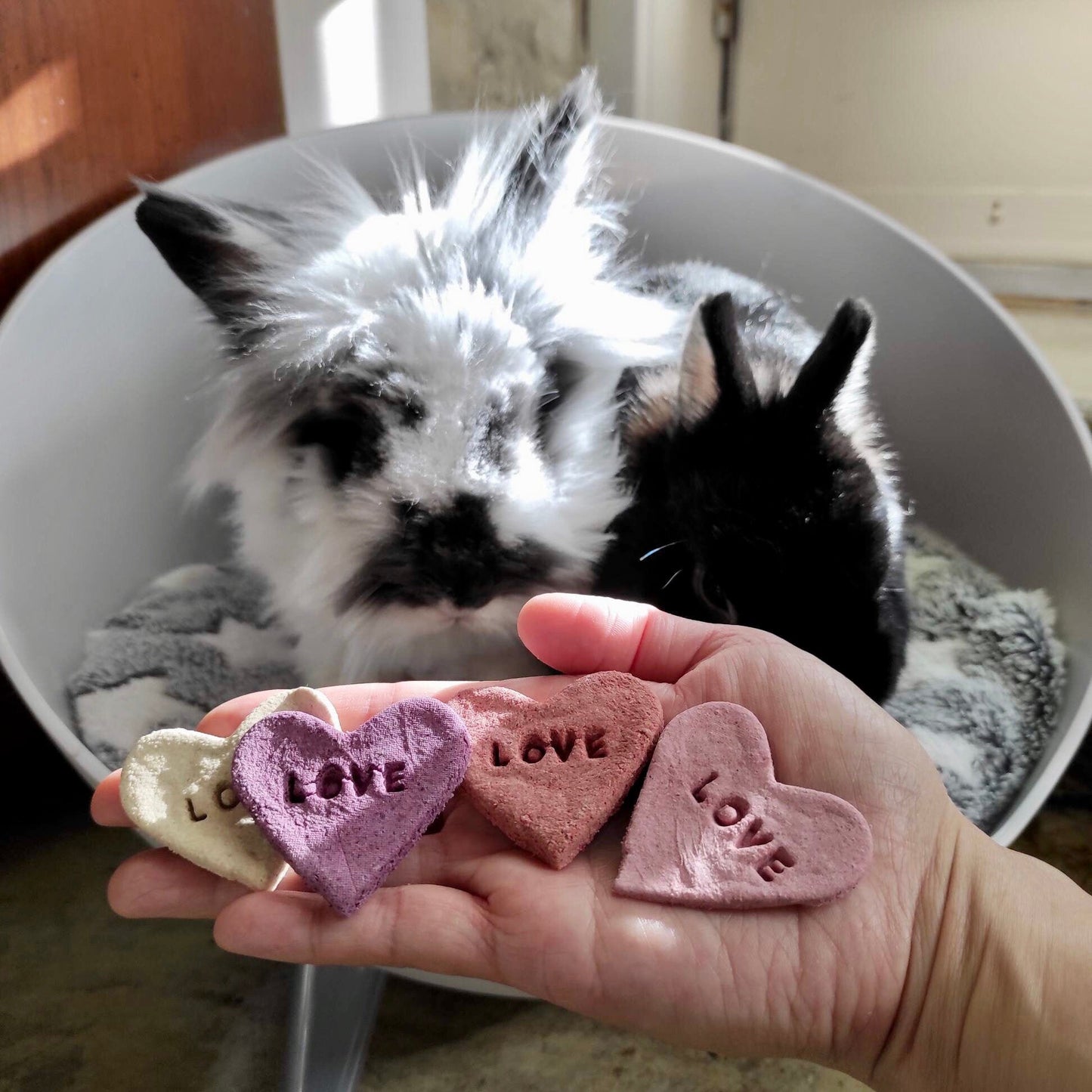 Heart LOVE Treats