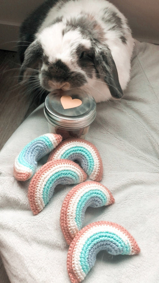 LOVE is LOVE Bunny Fling Toy